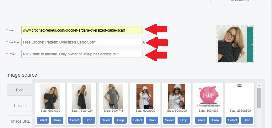 Instructional photo of how to fill up and what you need to add in when adding a link