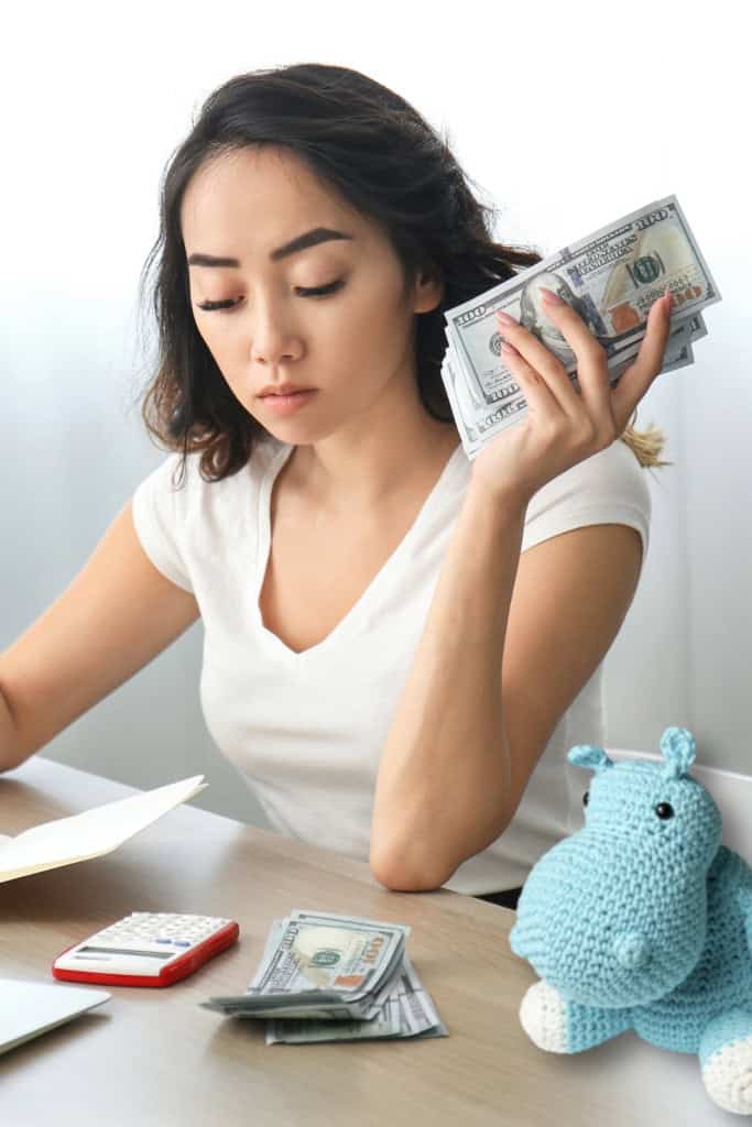 How Crochet Pattern Designers Make Money - Pin featuring a woman working at a laptop, counting money, with a crocheted hippo nearby